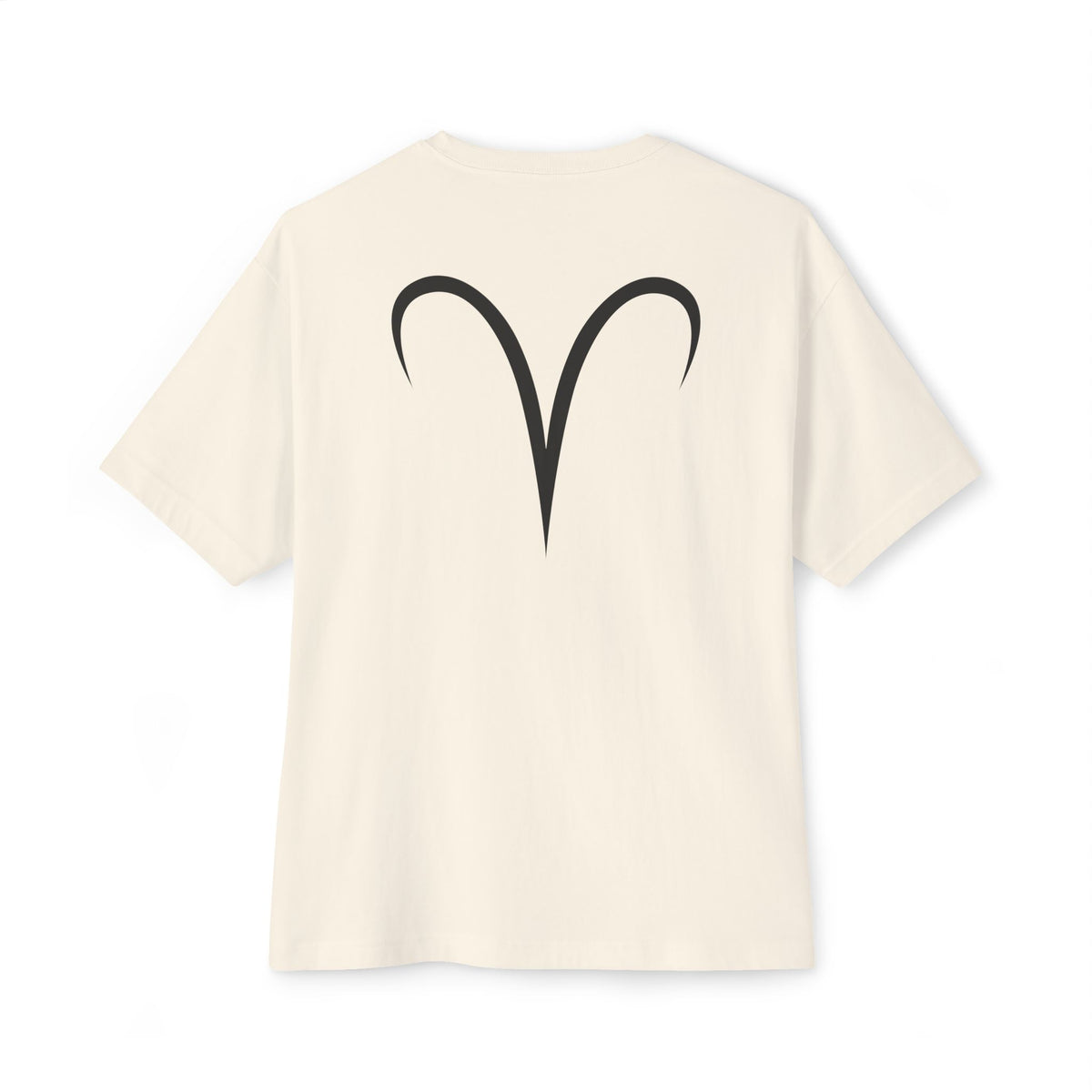 Aries Oversized T-Shirt